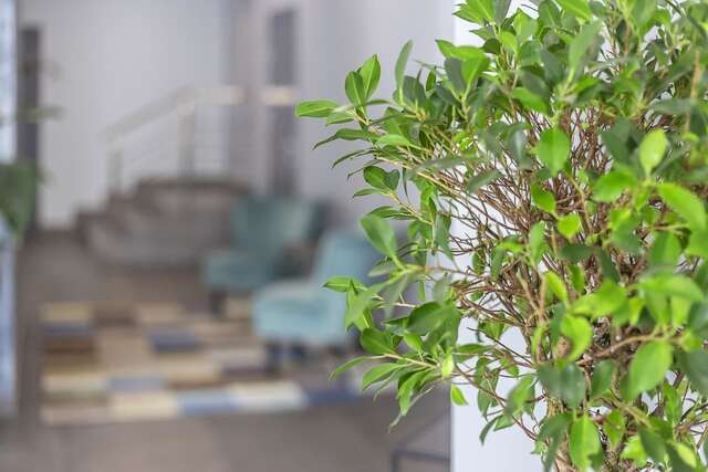 Отель Favor Sport Hotel Киев-7